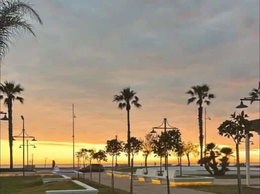 tortora marina