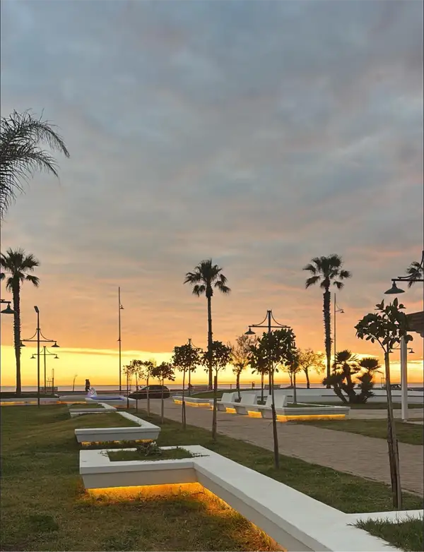 tortora marina